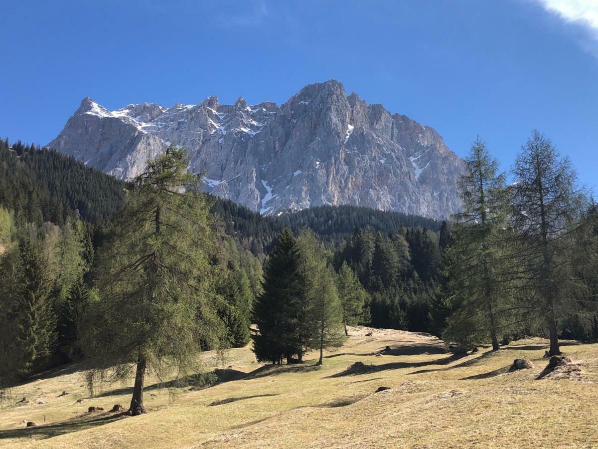 Das Halali - Dein Kleines Hotel An Der Zugspitze Ehrwald Exterior photo